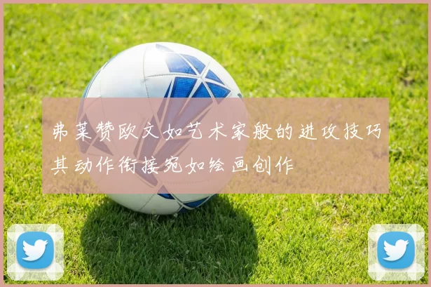 弗莱赞欧文如艺术家般的进攻技巧其动作衔接宛如绘画创作